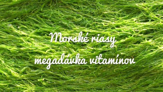 Morské riasy ako megadávka vitamínov